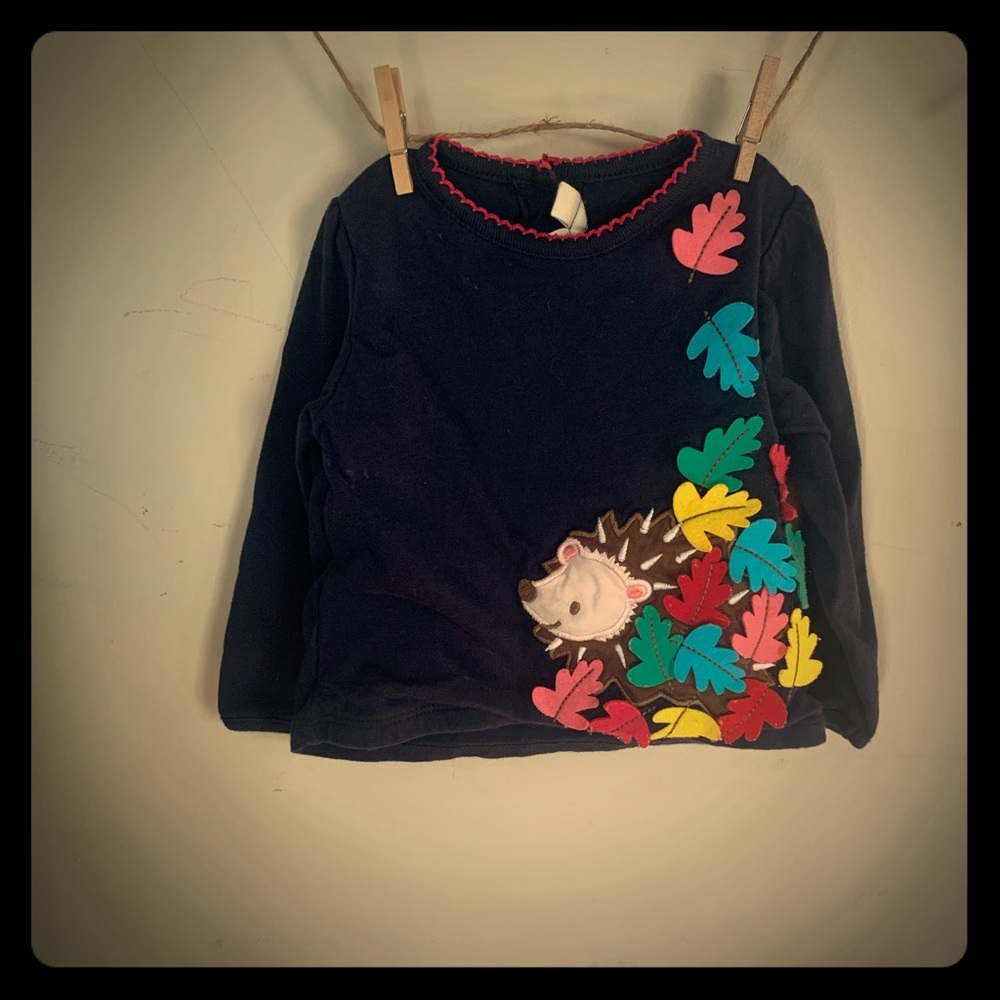 Colorful leaves and hedgehog shirt